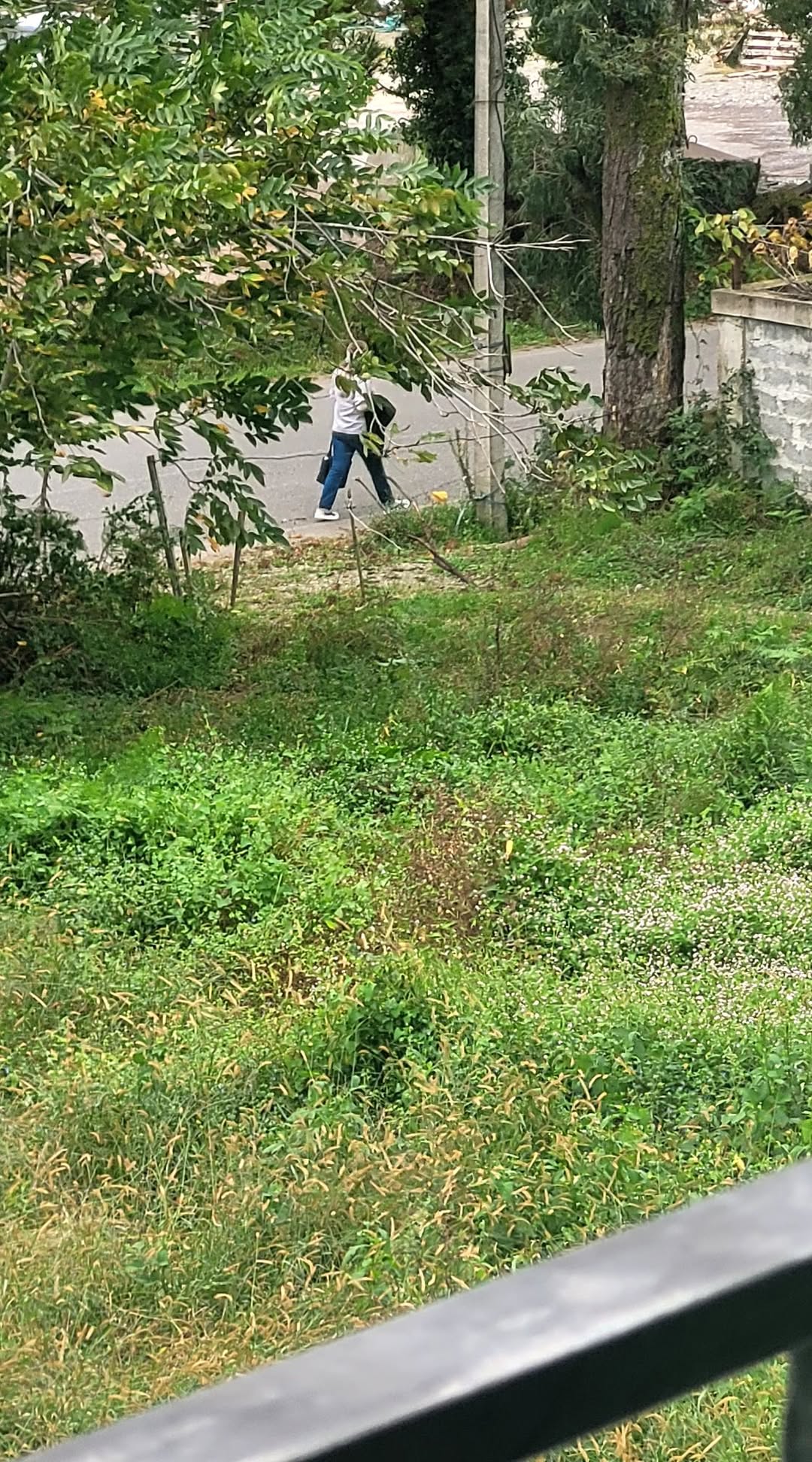 Arazi Parçası, Batum - 3 ₾