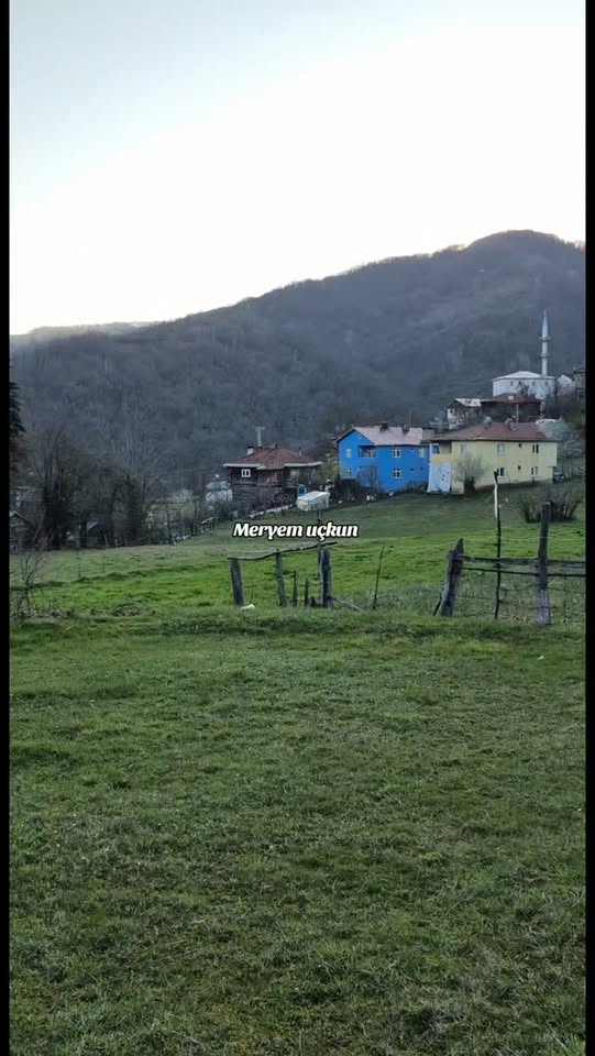 Avtomobil