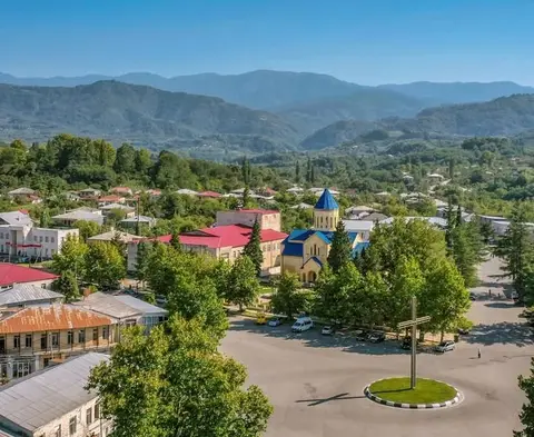 იყიდება ციცქა ცოლიკაური ზედა ბზვანში.ფ.2.50. ტ — 2.5₾
