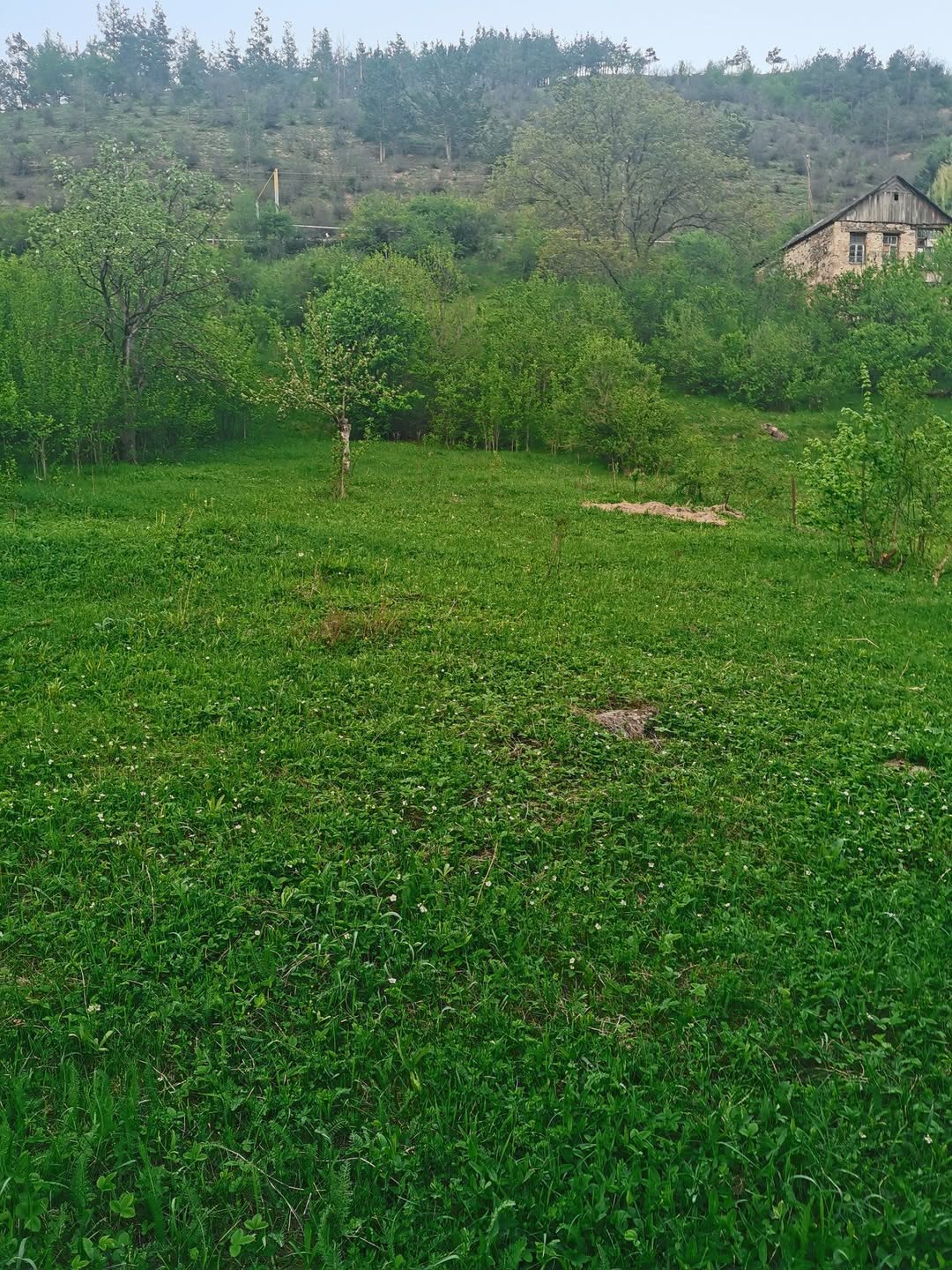 Tavush region, town of Dilijan, village Gyugh - 28,000$