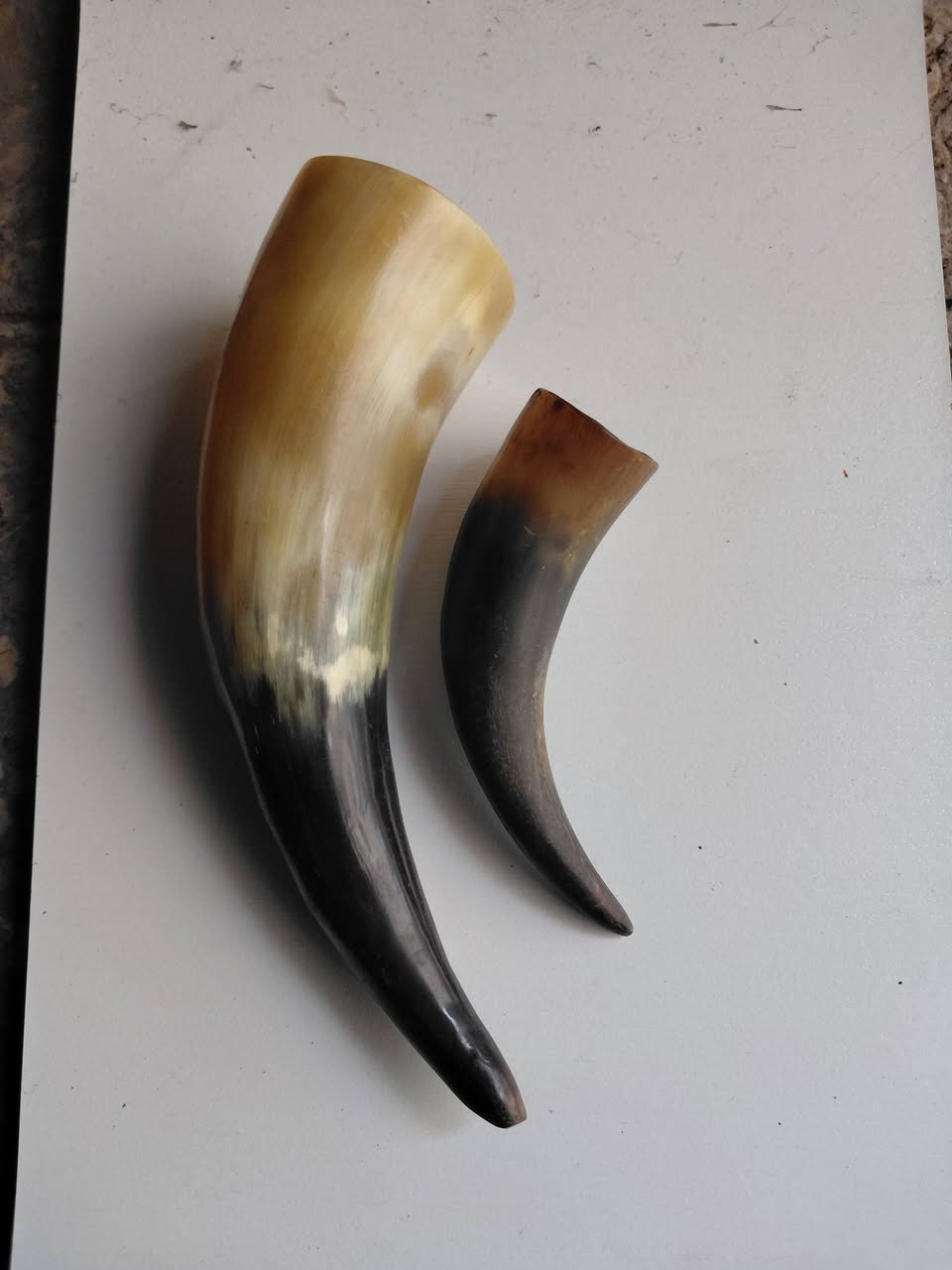 Decorative horns, two pieces