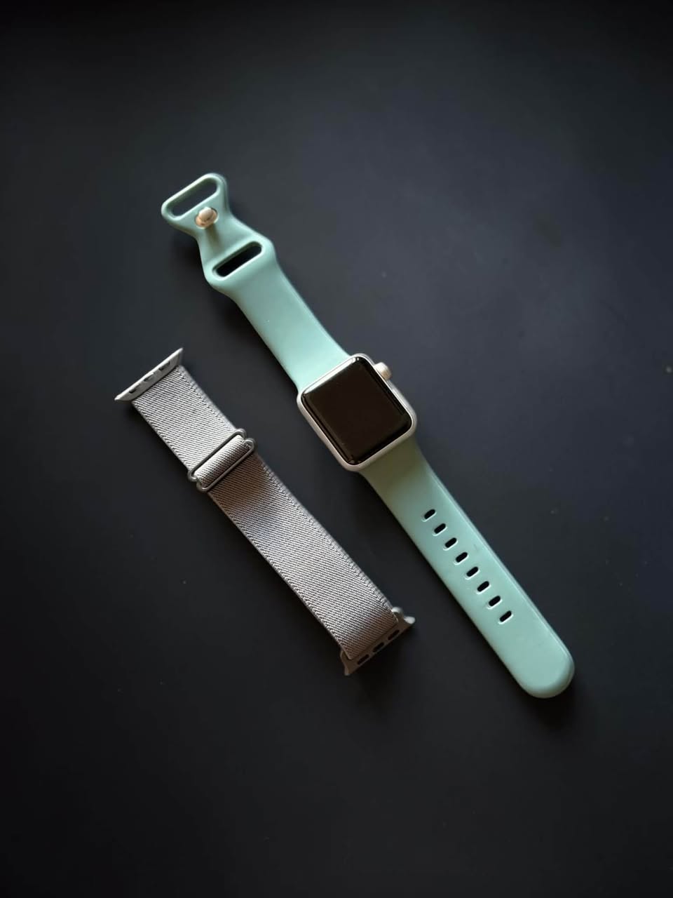 Apple Watch Series 3 38mm case