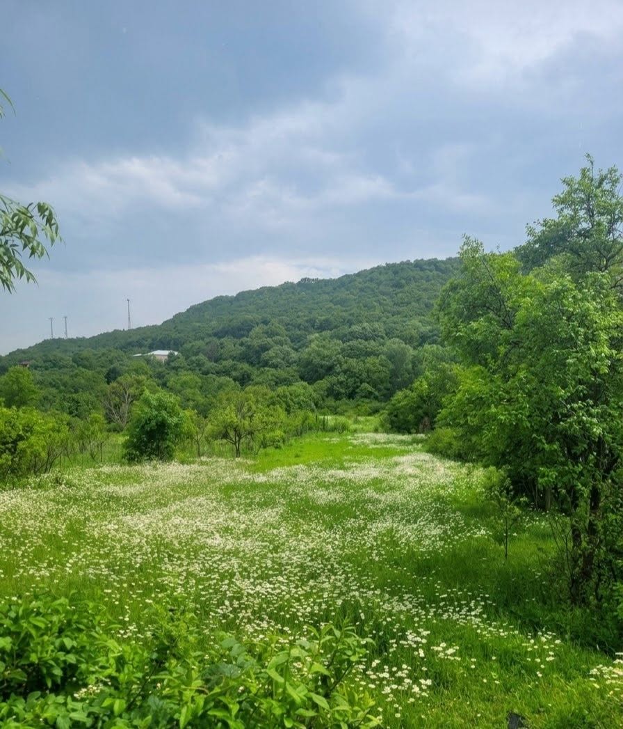 Arazi Parçası, Kutaisi