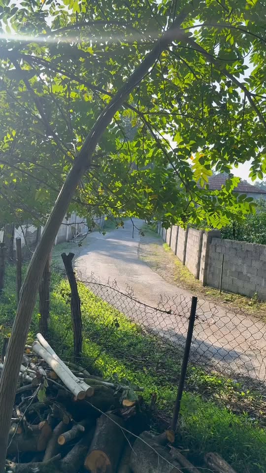 Torpaq sahəsi, Kobuleti — $90