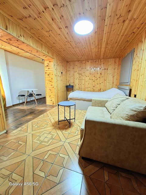 ბორჯომში სტუდიო ტიპის სახლი ქირავდება