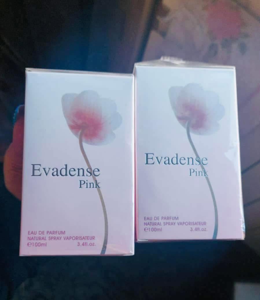 Версия Evidence 100 мил 😍 неслышанная