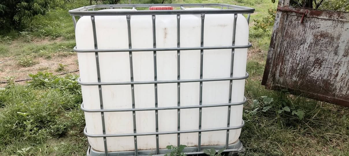 Nakit alıcıya 120 gavataan orijinaldir