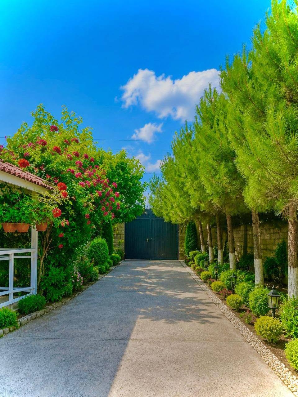 5 otaqlı təmirli həyət evi kirayə