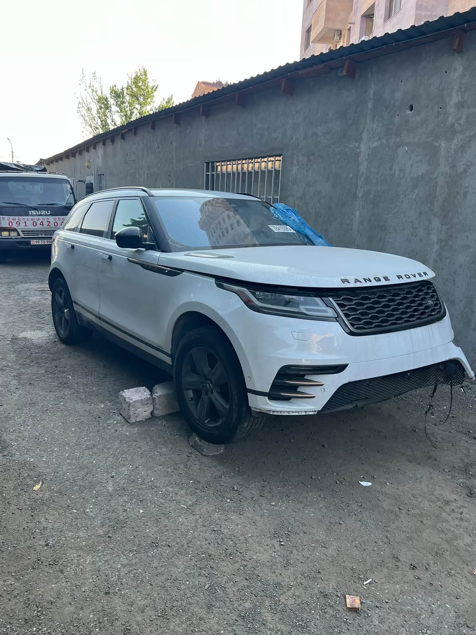 Velar