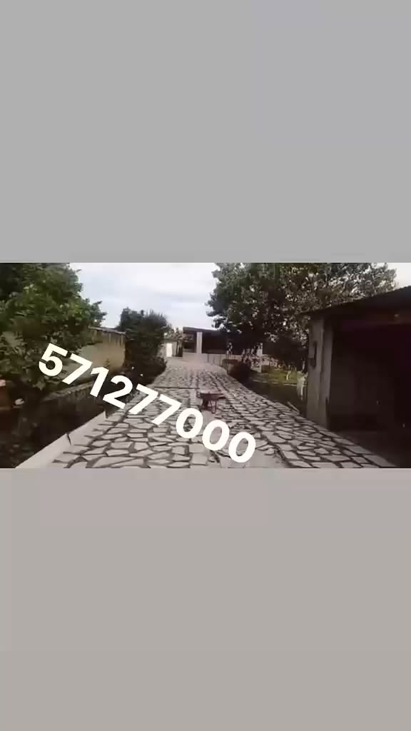 ქვის დაგება მოზაიკა მათი მასალის მოტანით
