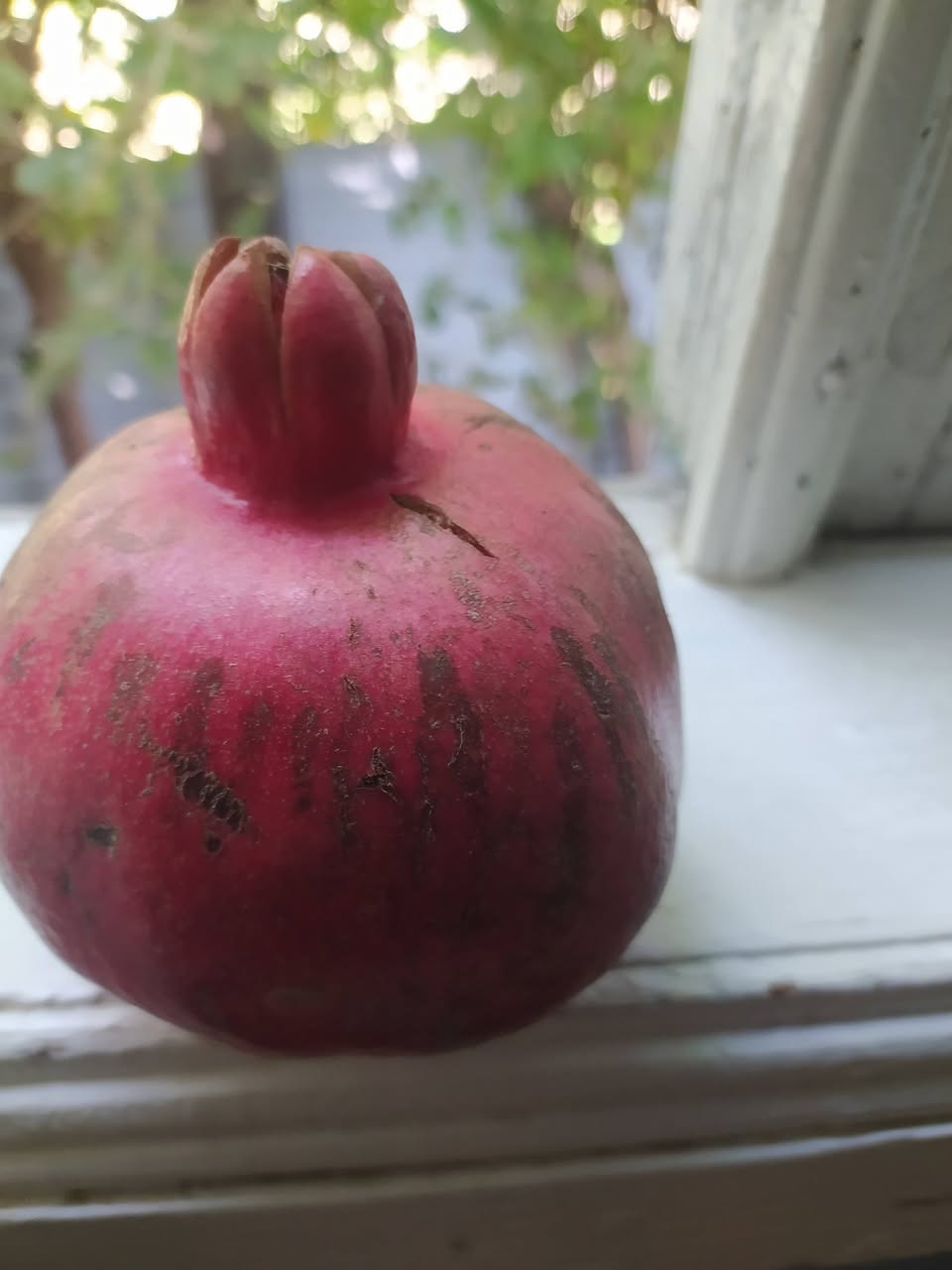 Продаётся супер нар и тинглы Öküzburun.