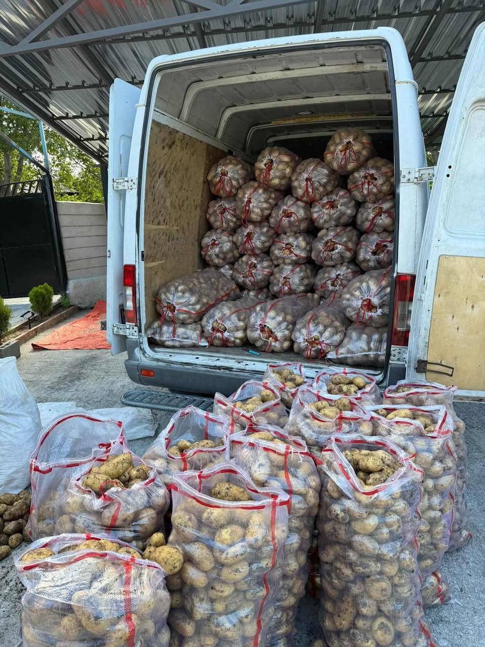 Renew stock of Akhaltsikhe potatoes on site — 1.2₾