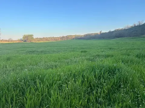 Land plot, Bolnisi