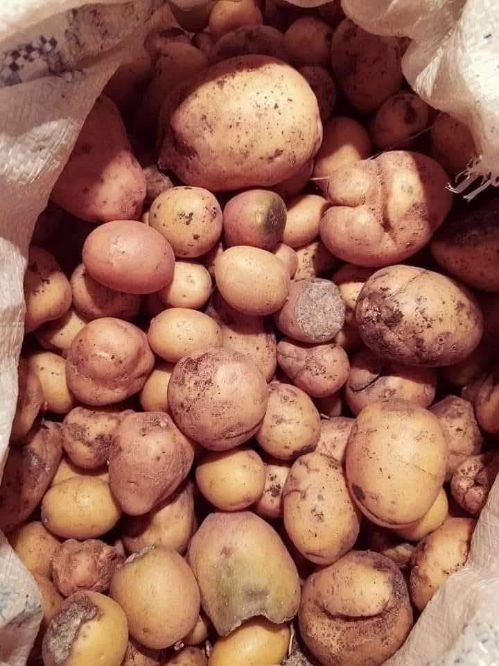 Bugün mən Tsalkada və ətraf kəndlərdəyəm