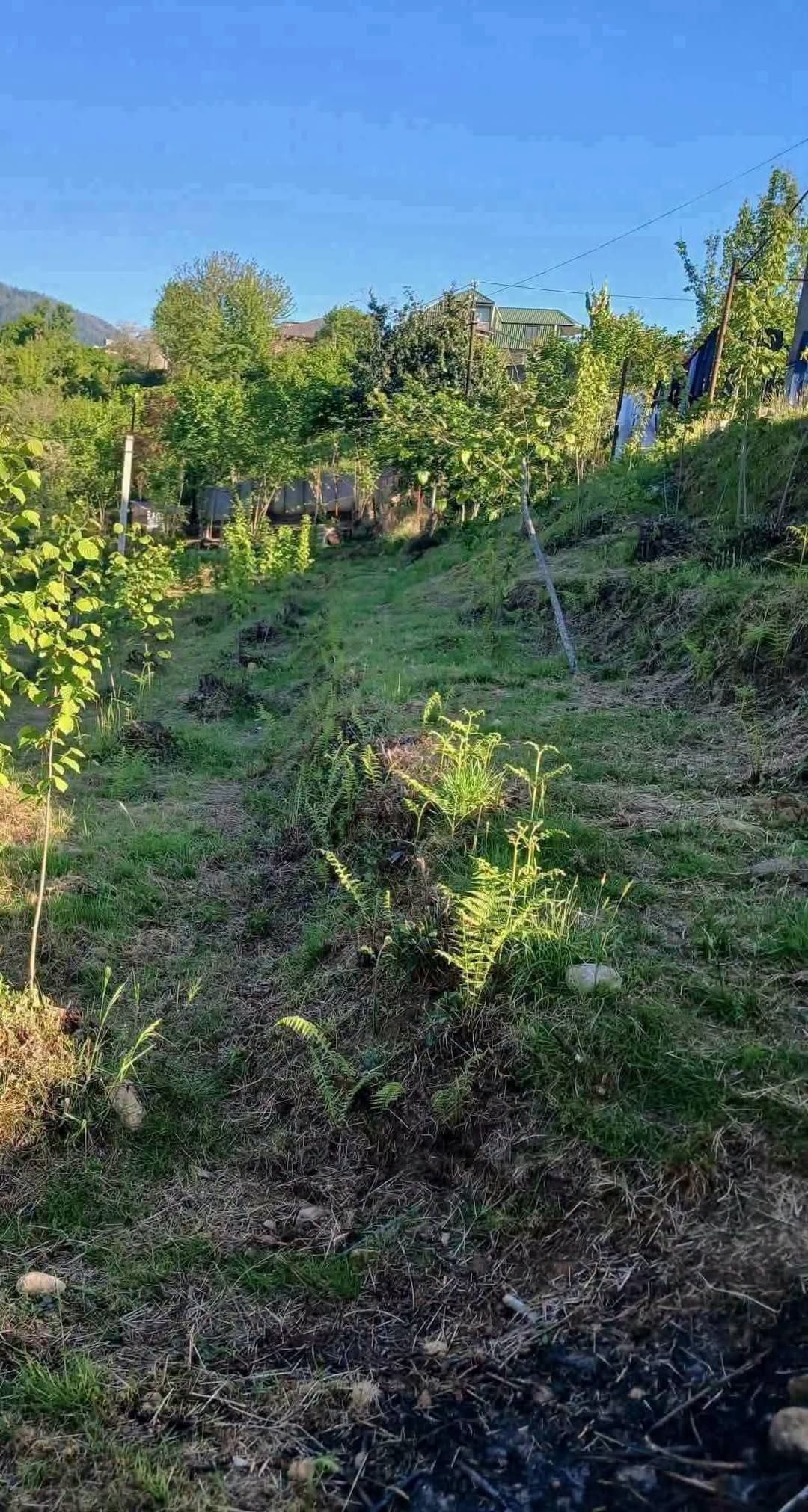 Arazi, Tiflis — $58,000