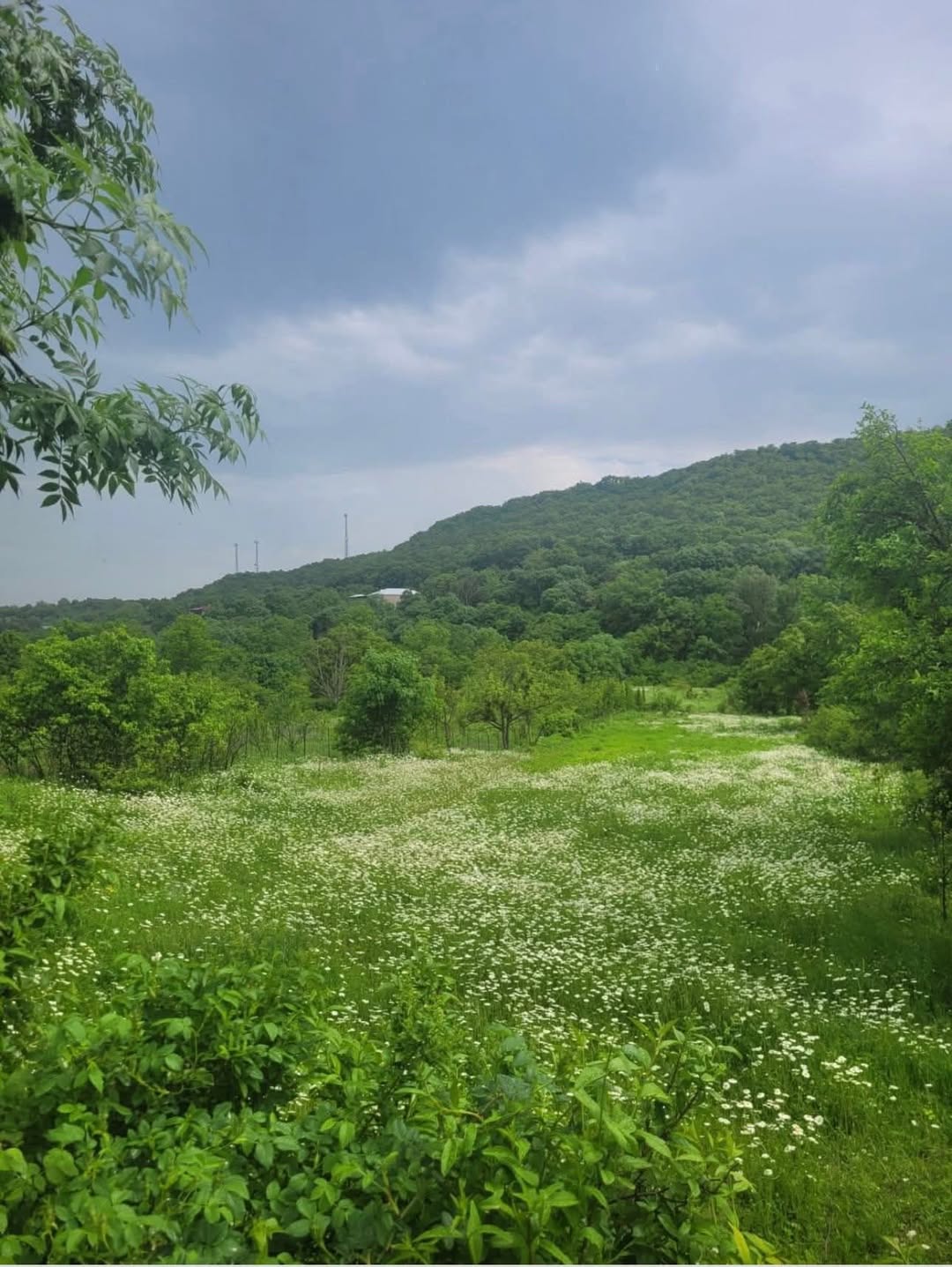 🏡 Ucarmaşda 480 kv.m. mənzil satılır — 16,000$
