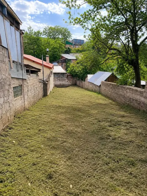 ნიადაგი