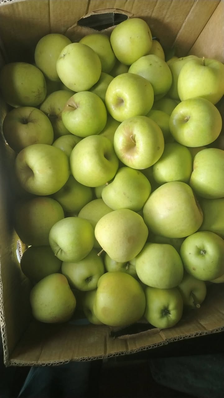 🌿🍏 Təşəkkür etdiyim üçün etimadınıza! ❤️ Mağazalar doldu - 2₾