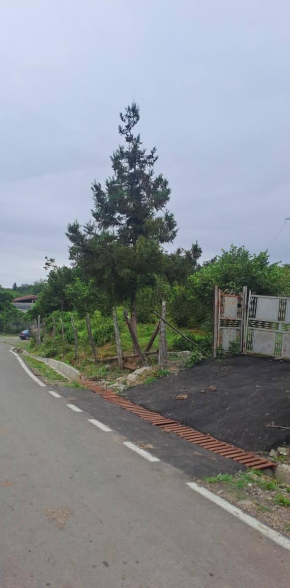Torpaq sahəsi, Kobuleti