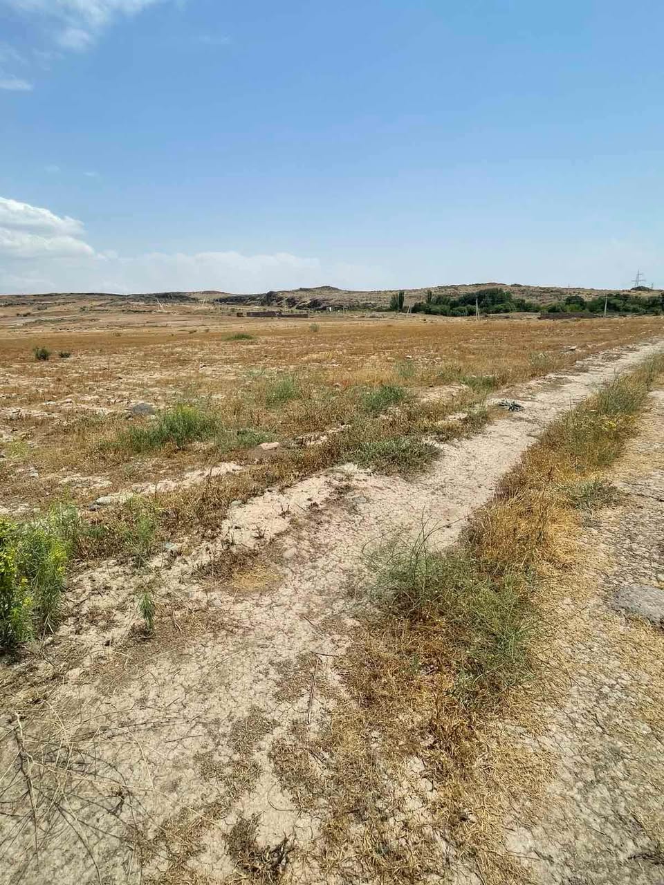 Tarımsal arazi, 4000 km2