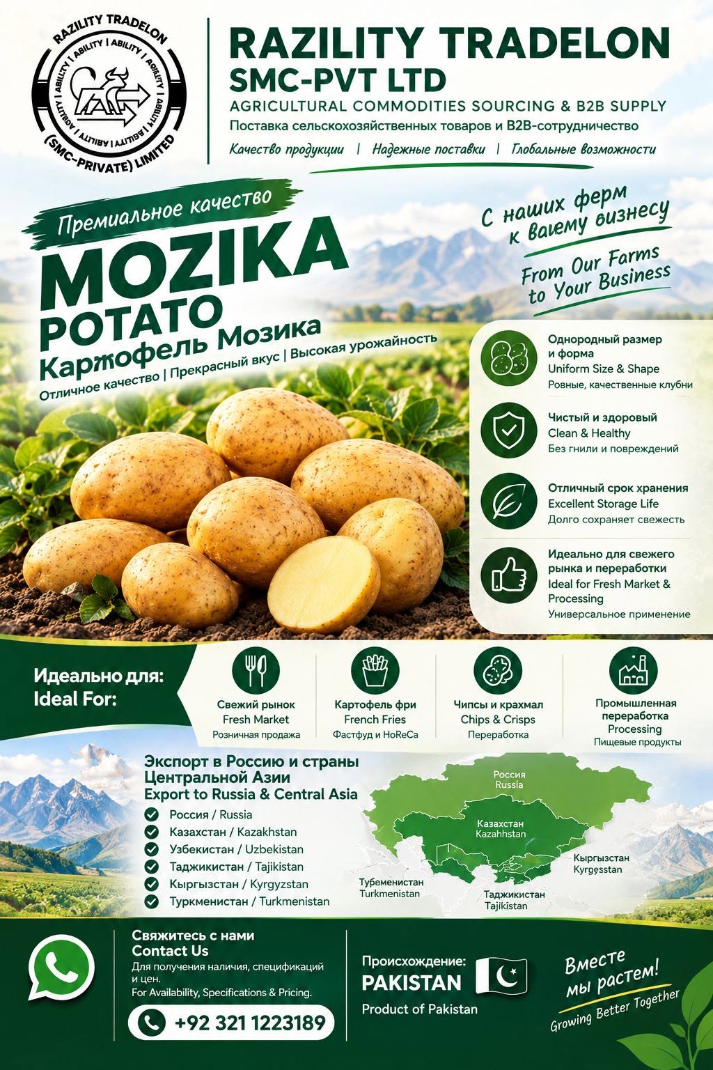 🥔 Mozika Potatoes from Pakistan 🇵🇰