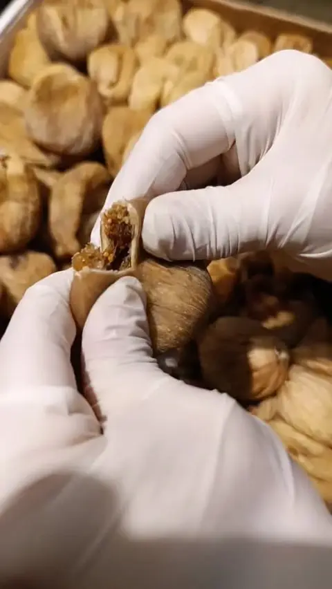 ავტომობილი