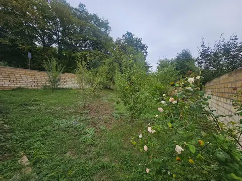 Ev / Villa