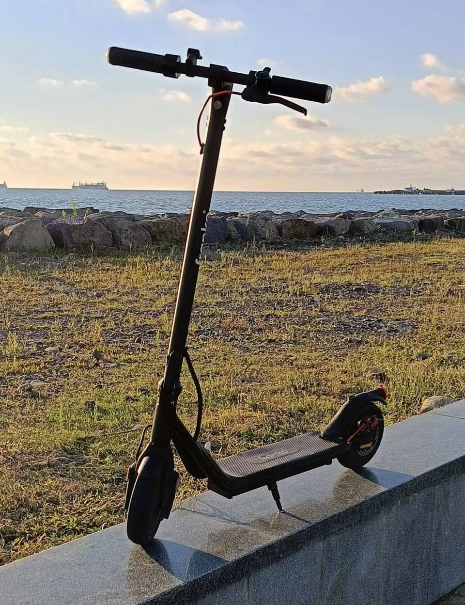 Electric scooter Franko FS-M2, 350W