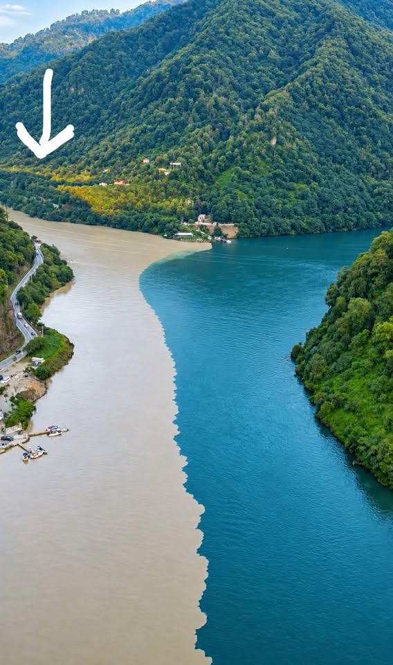 Torpaq sahəsi, Batumi — $20