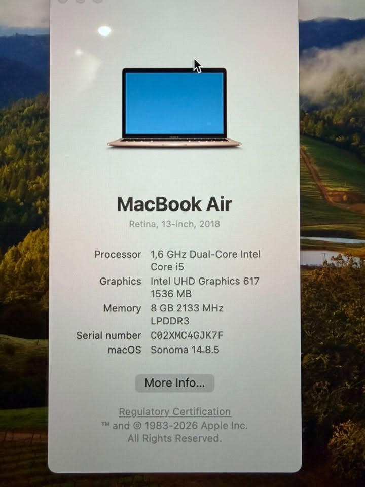 Apple MacBook Air Gold is sold for 700₾