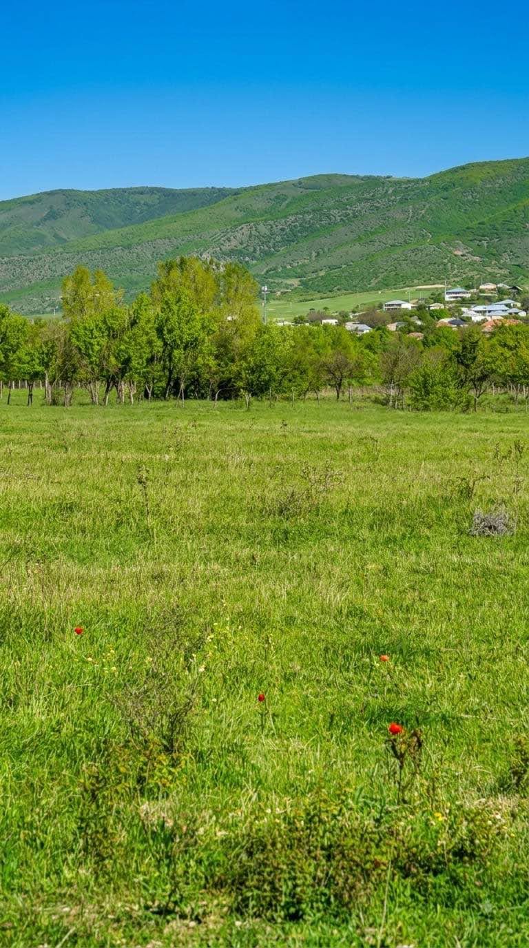 Arazi, Tiflis — $10,000