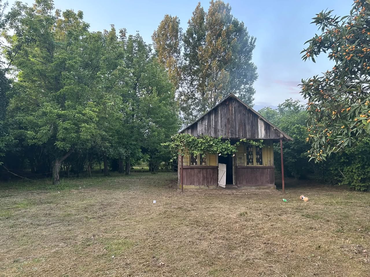 Ev, Züqdidı