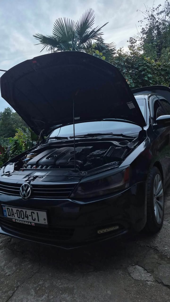 2010 year 2.5 engine Softa da