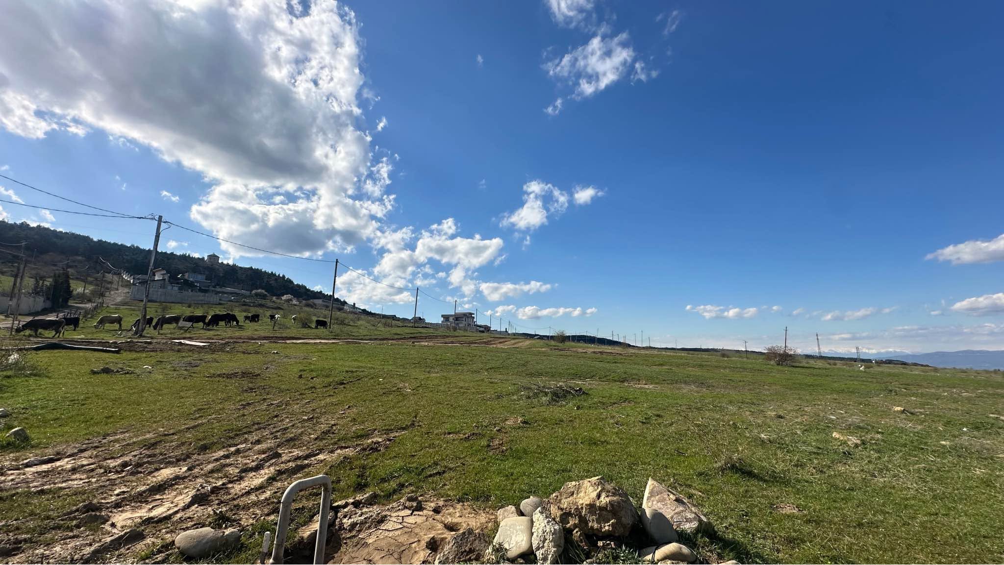 Plot of land, Tbilisi