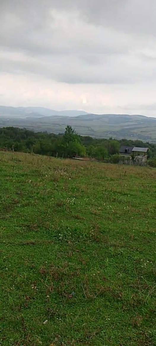 Tianet ve Magraneti'de satılık, 2500 m2, 12.500 $, yarı fiyatı 1250 m2…