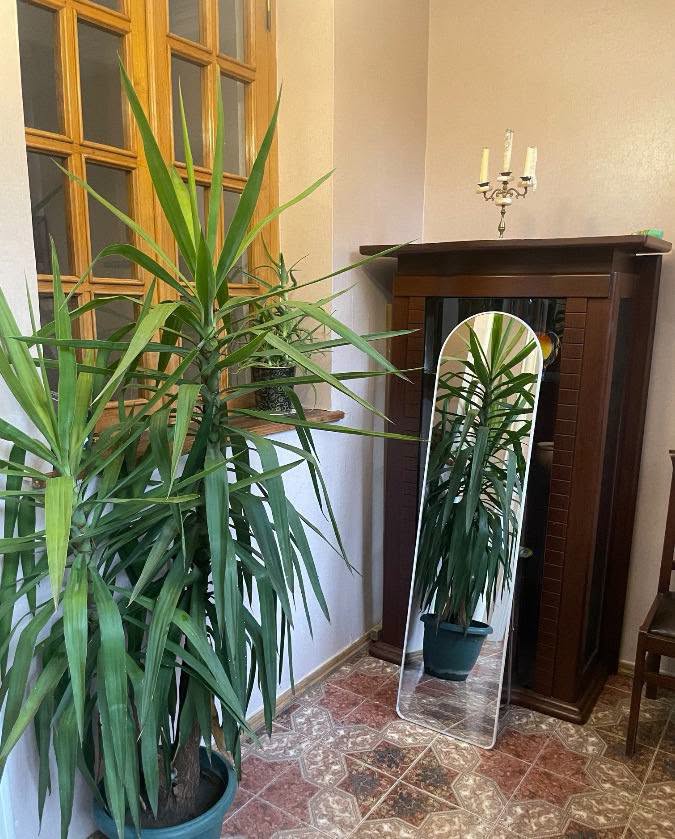 3 oda daire kiraya veriliyor, Tiflis - $1,200