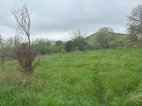 Земля