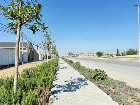Torpaq — 7,000 դրամ