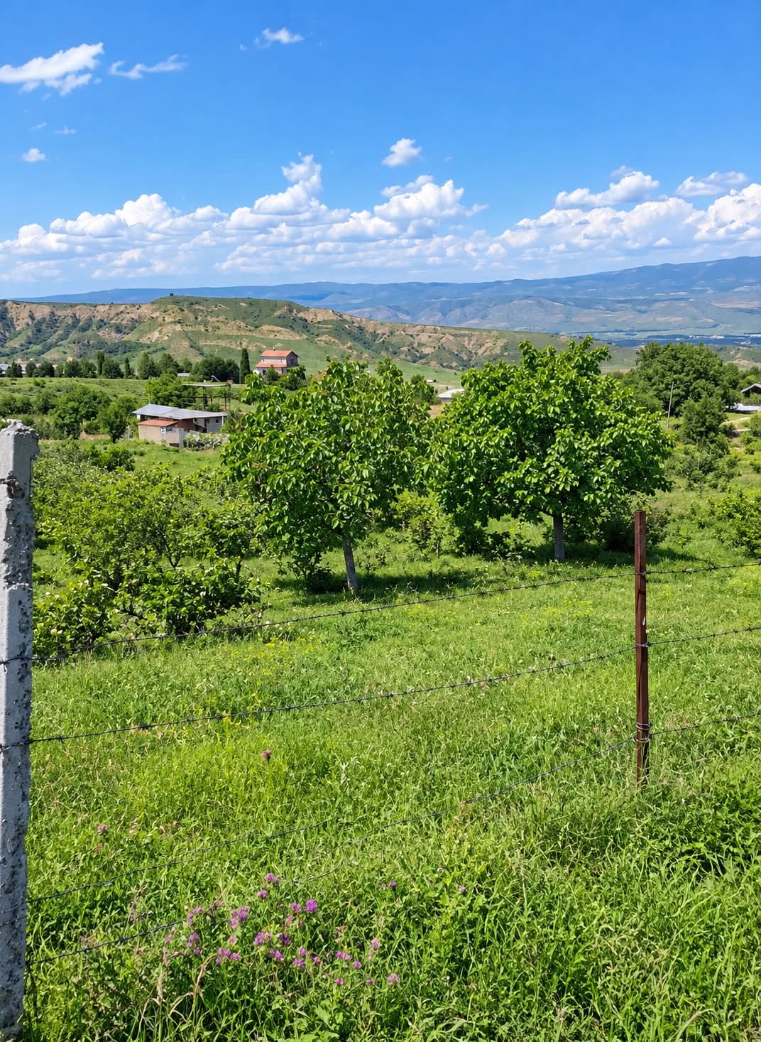 მიწის ნაკვეთი, თბილისი