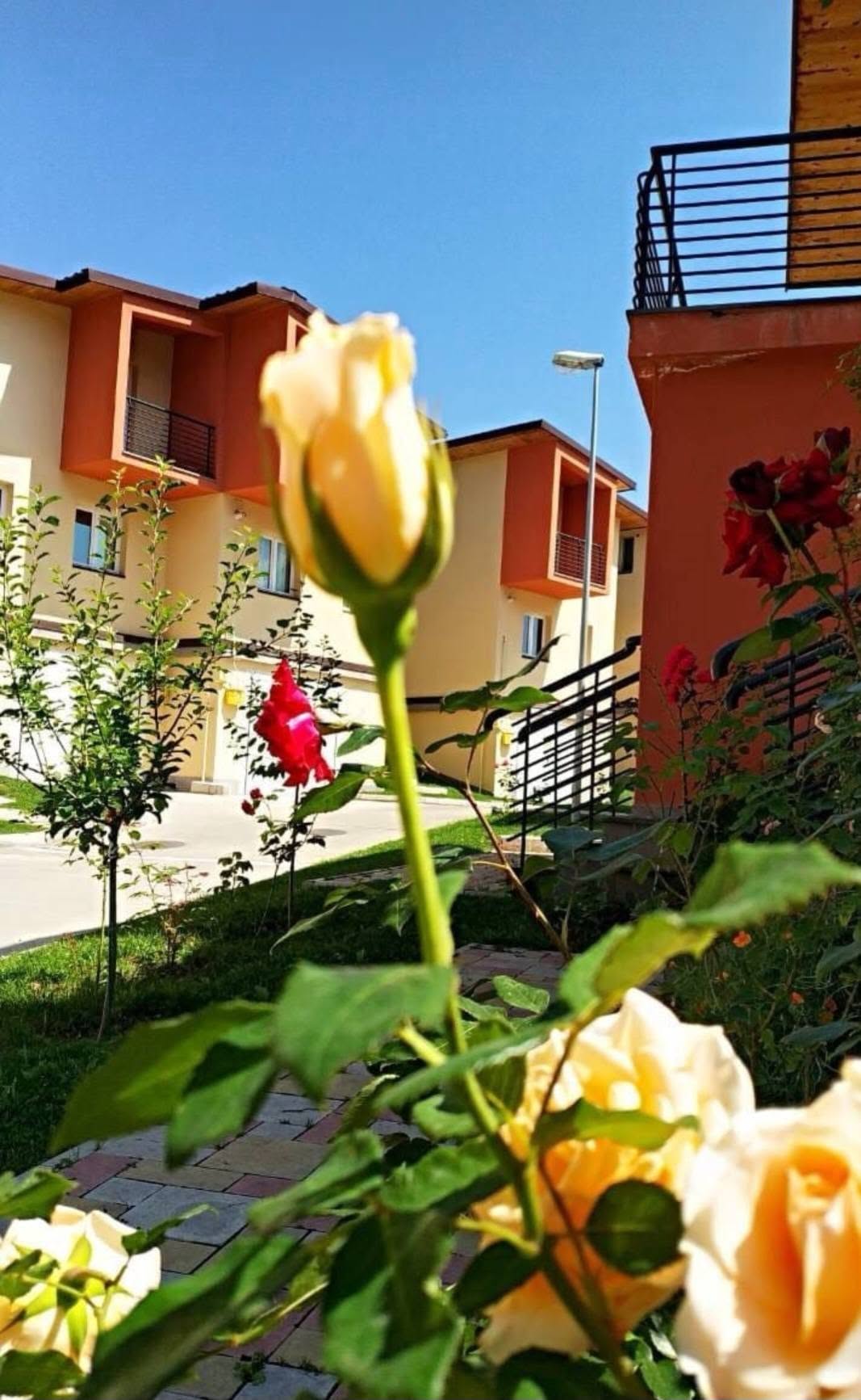 İcarəyə 2 mərtəbəli villa, Dilican