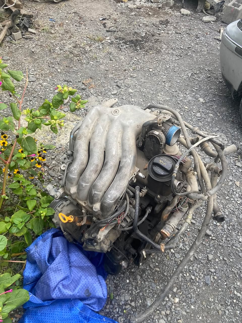 I have a Daewoo Lanos 2.0 Jetta from 2003
