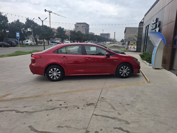 ჰიბრიდი 2020, 11500$