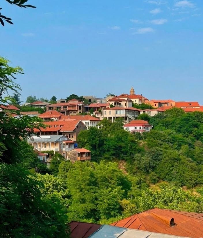 Land plot, Sighnaghi