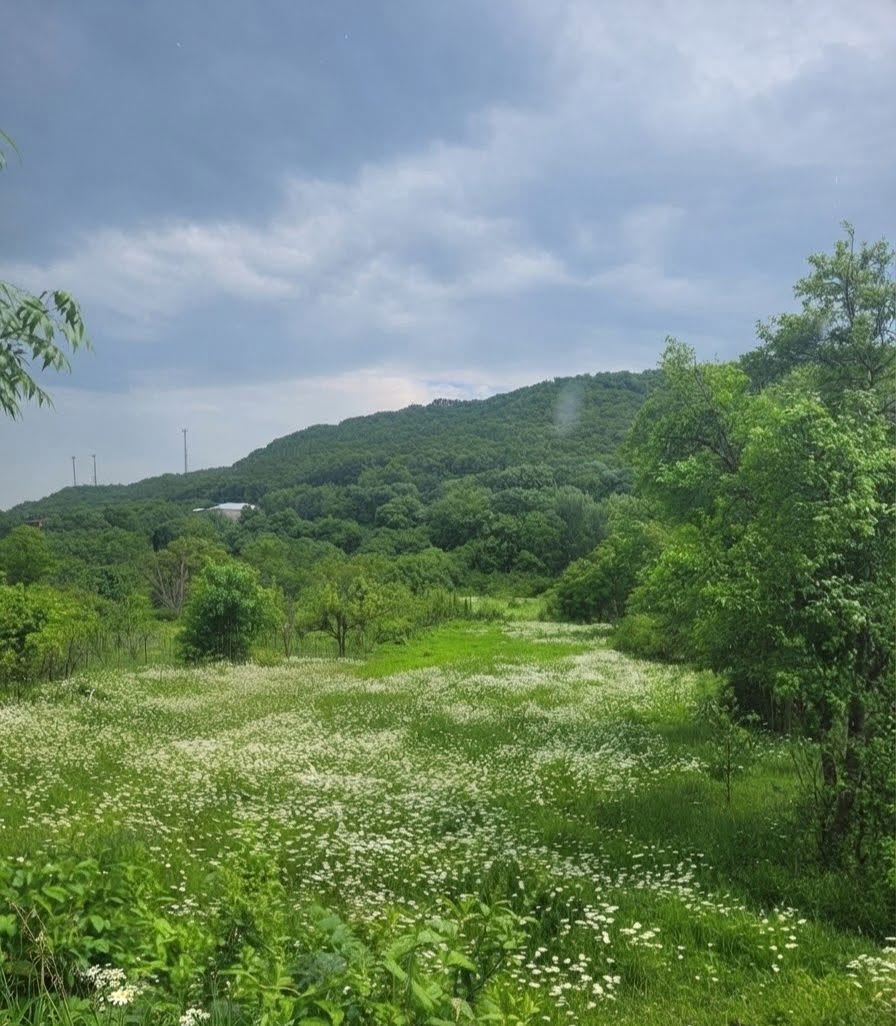 🏡 Uçurumunuzun tatil evi Ucarma'da! 1,000