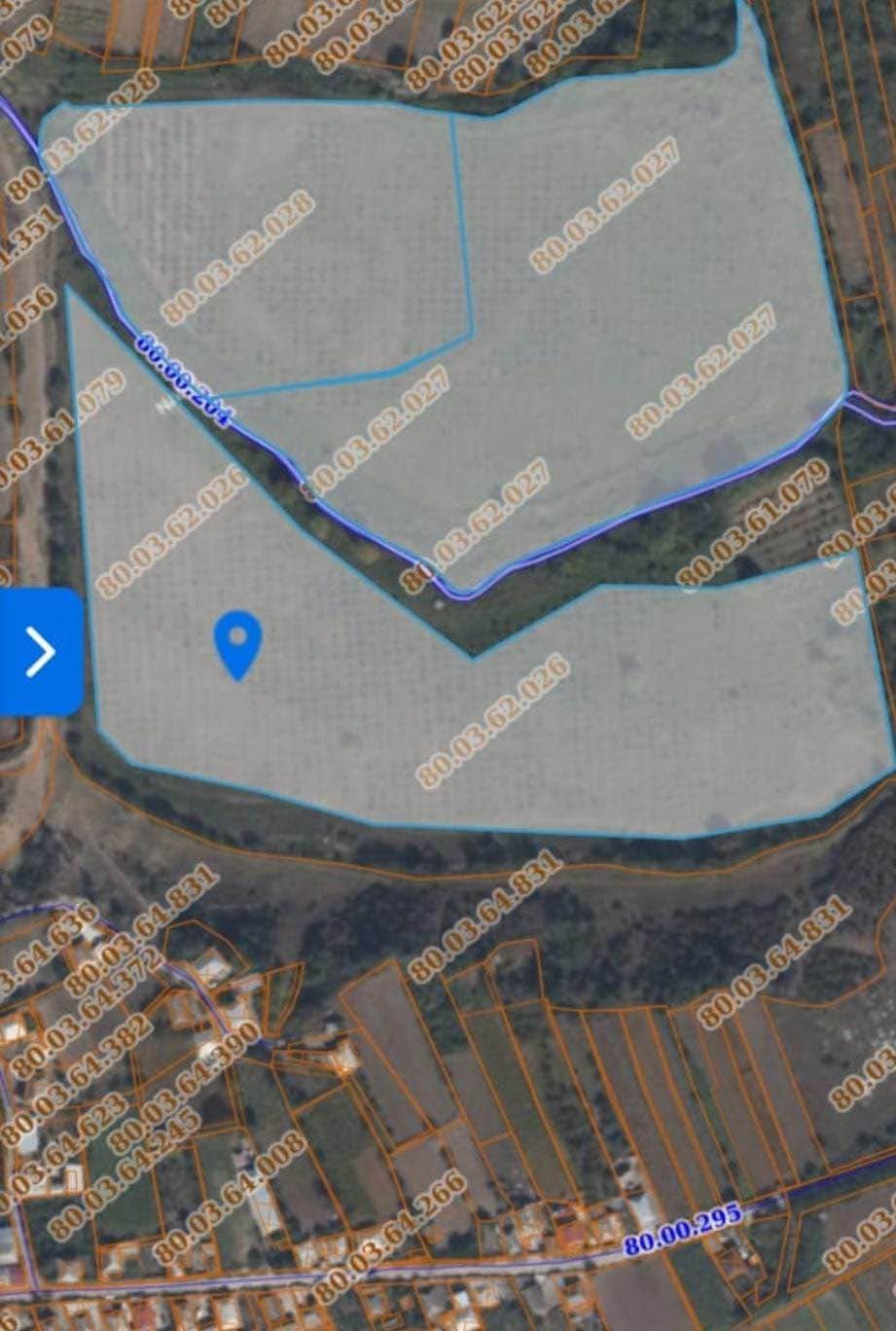 Land