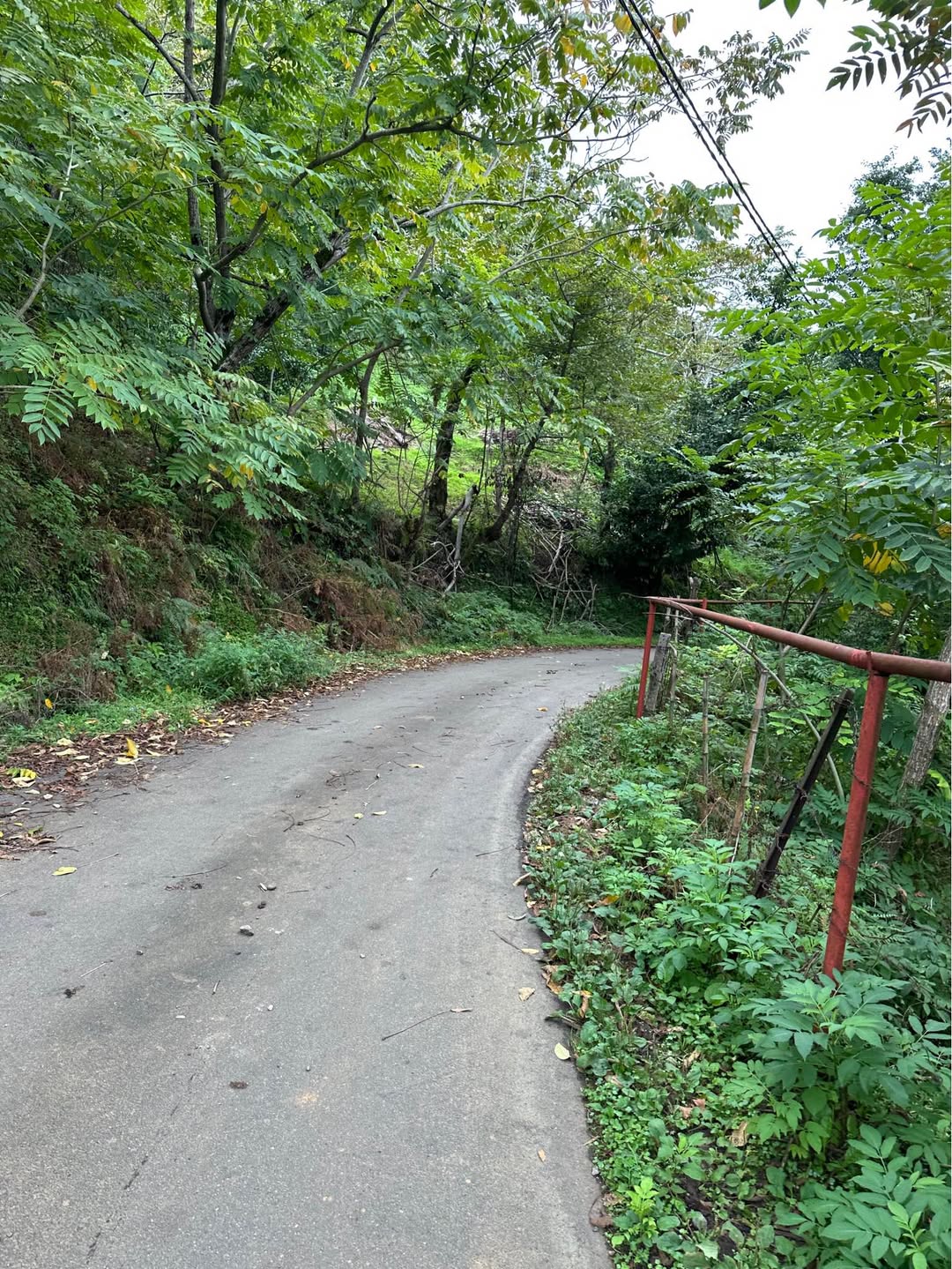 Arazi Parçası, Batum