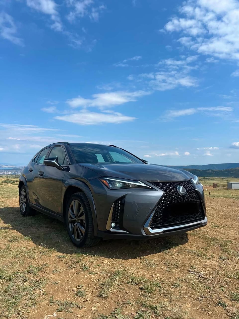 Lexus UX 250h Hibrid 2024