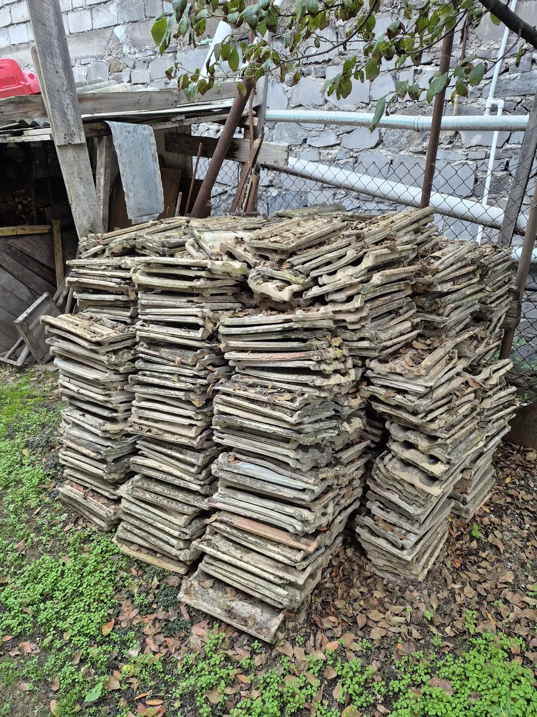 Old bricks for sale... 10 white ones for 0.1₾ each