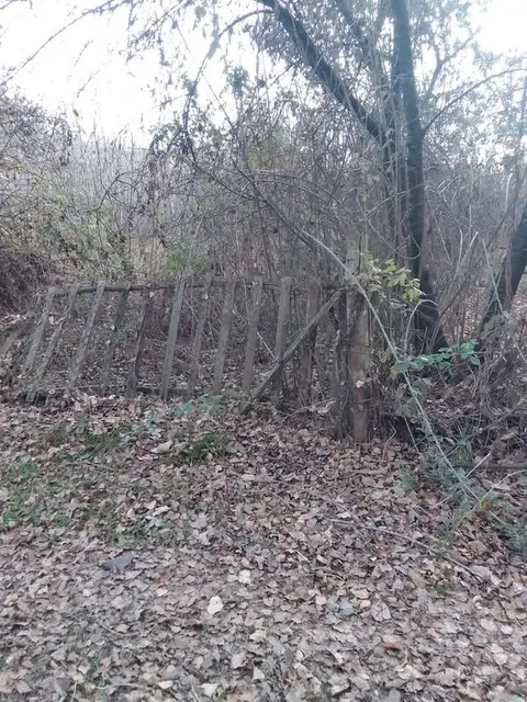 Soil