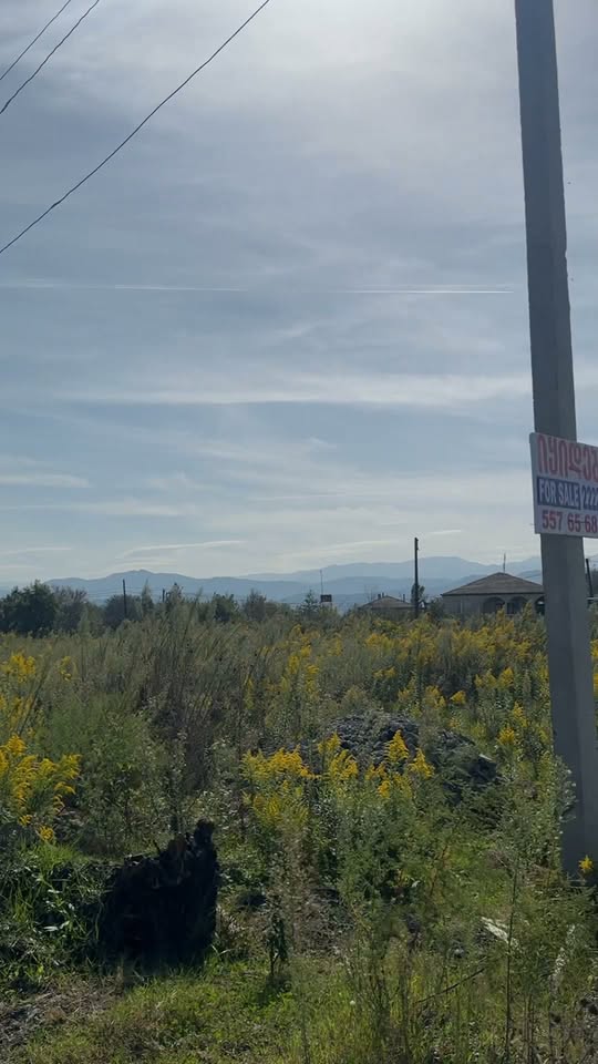 Arazi, Samtredia